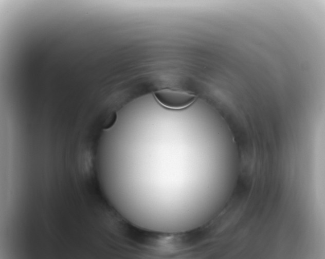 X0000089850130200707051122
