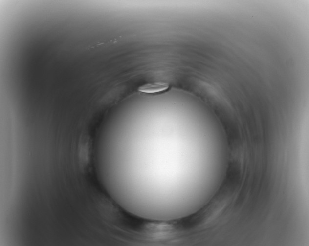 X0000089850133200707051122