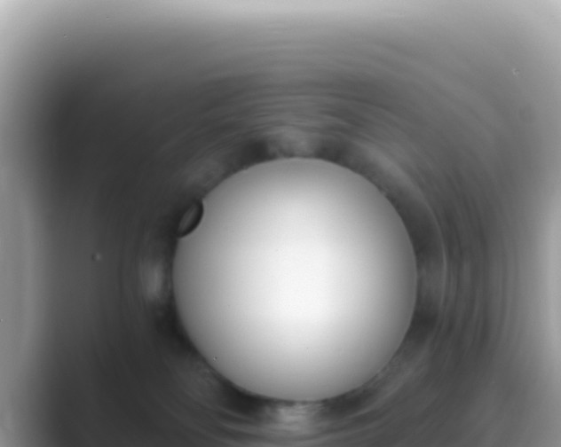 X0000089850134200707051122