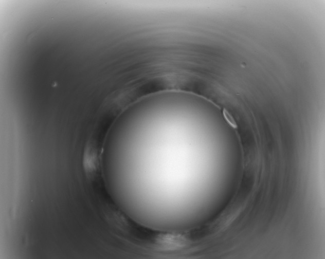 X0000089850137200707051122