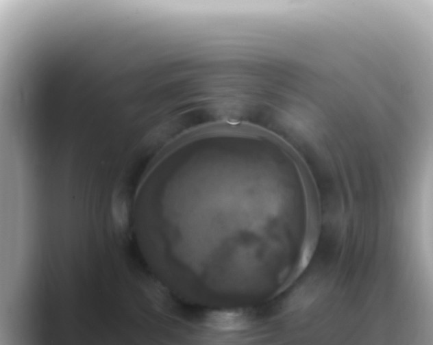 X0000089850139200707051122