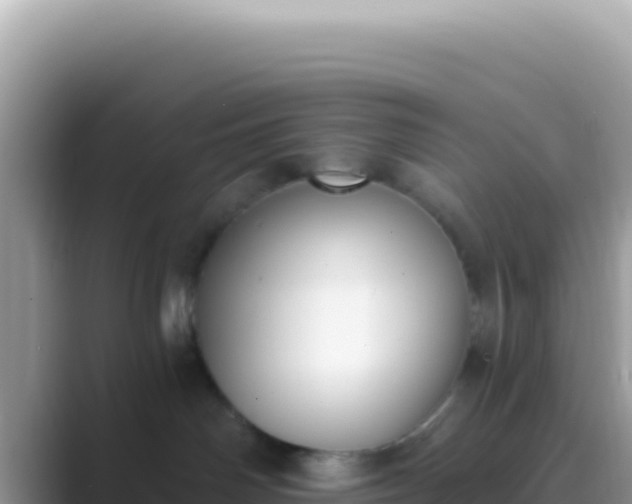 X0000089850142200707051122