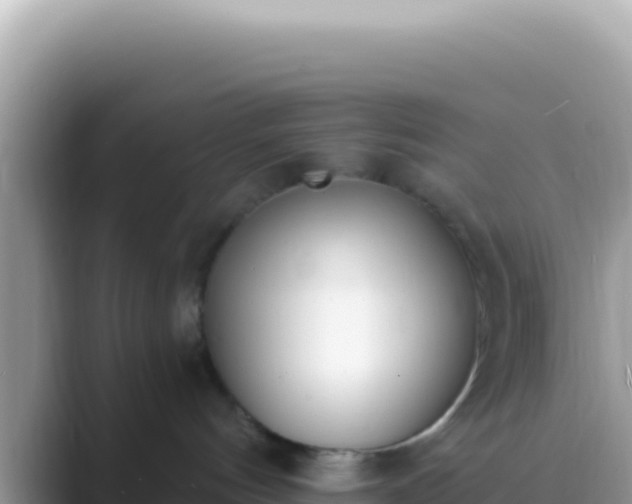 X0000089850144200707051122