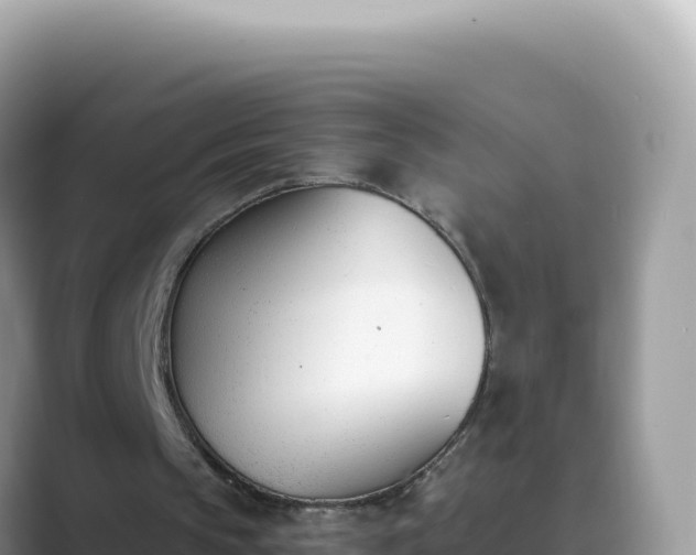X0000089850145200707051121