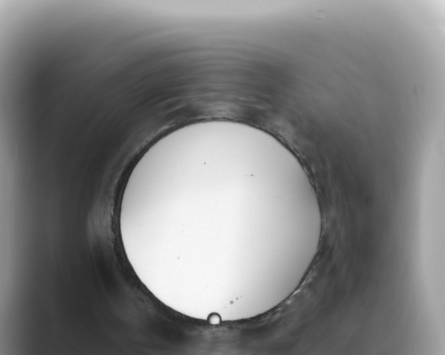 X0000089850146200707051121