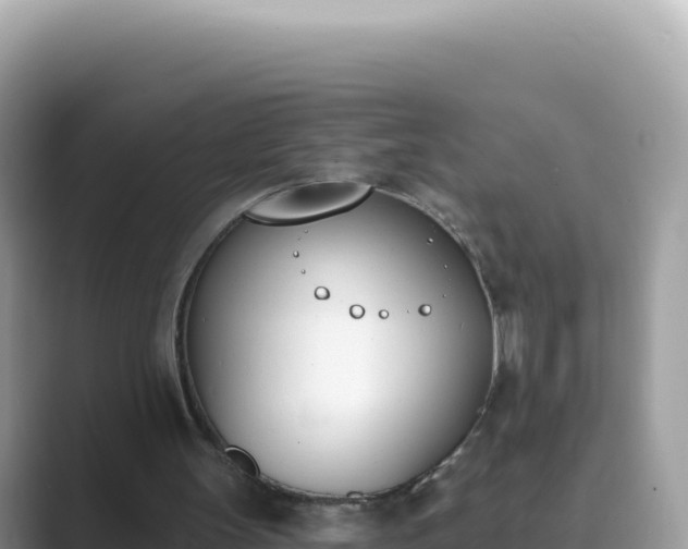 X0000089850147200707051121