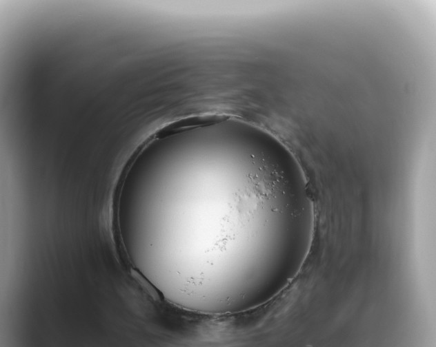 X0000089850148200707051121