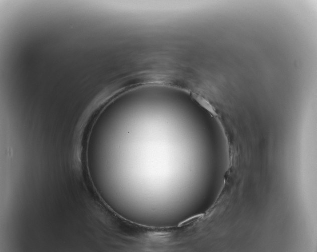 X0000089850150200707051121