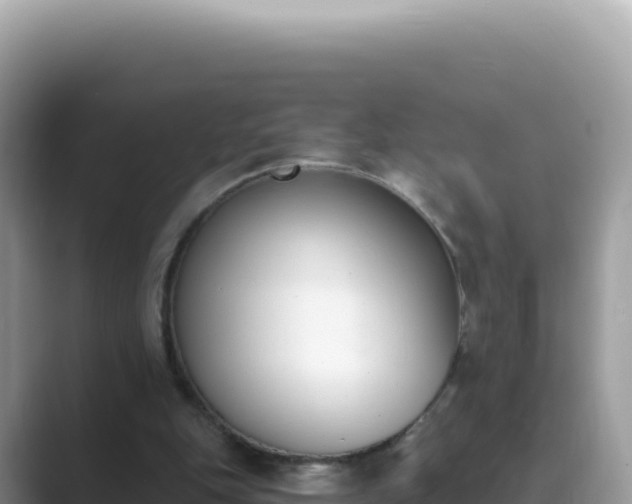 X0000089850151200707051121