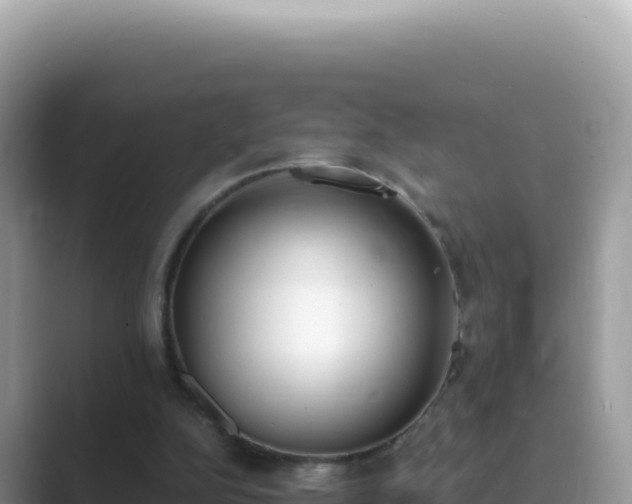 X0000089850152200707051121
