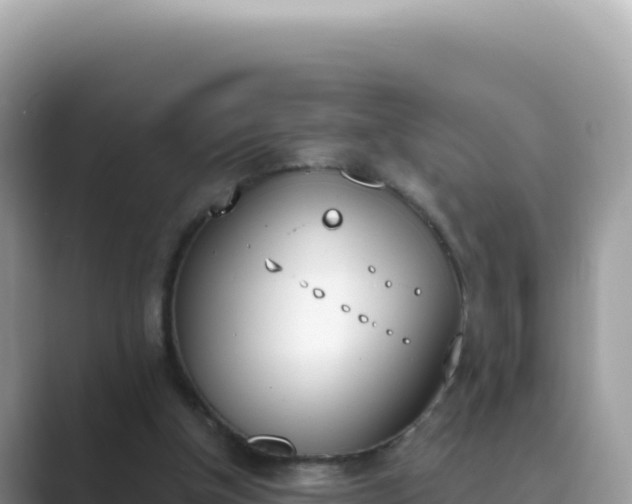 X0000089850154200707051121