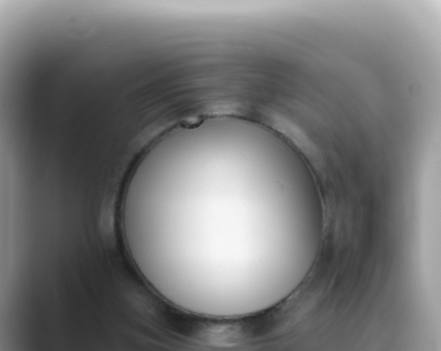 X0000089850155200707051121
