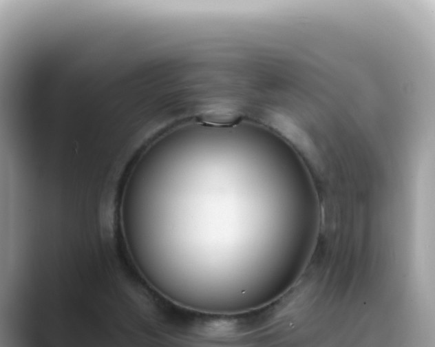 X0000089850156200707051121