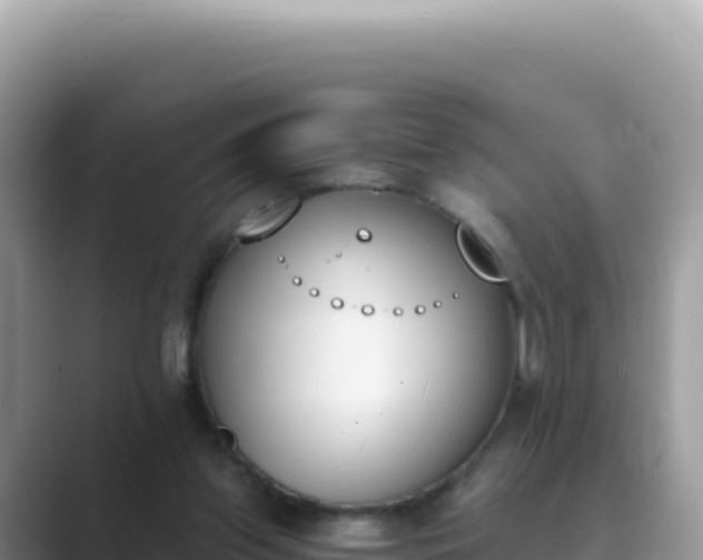X0000089850157200707051121