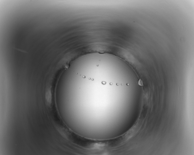 X0000089850158200707051121