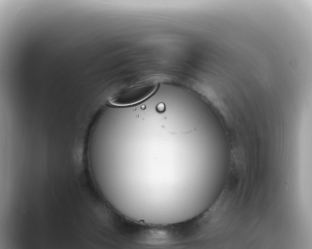 X0000089850159200707051121