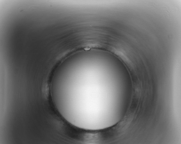 X0000089850160200707051121