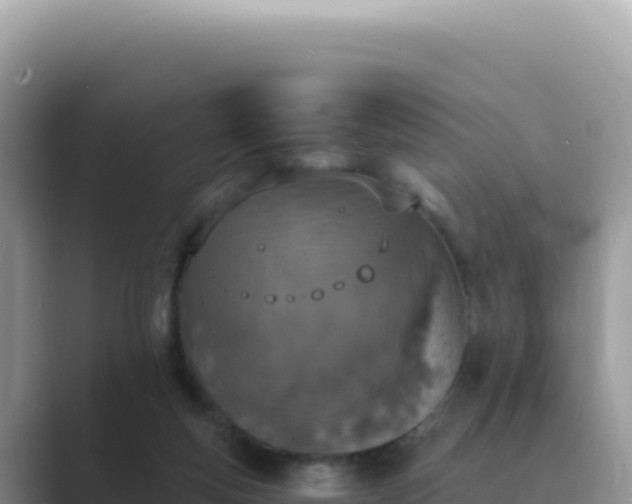 X0000089850163200707051121