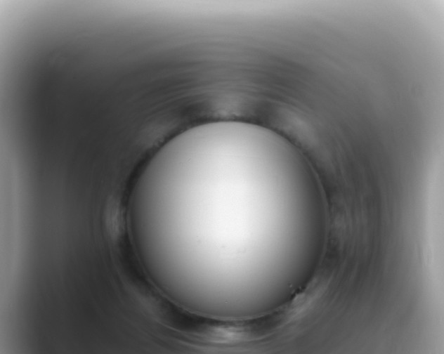 X0000089850164200707051121