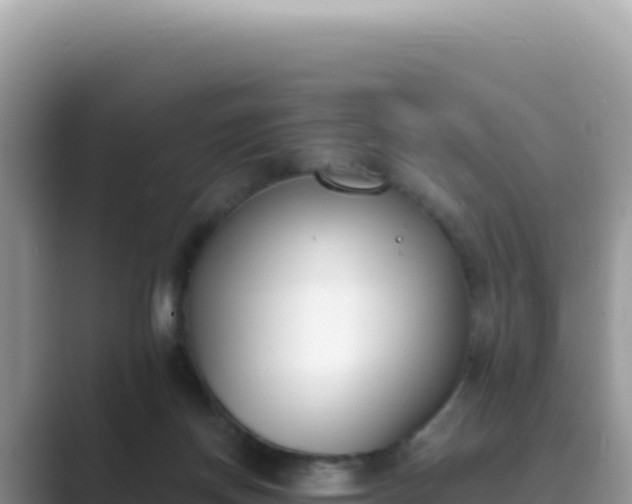 X0000089850166200707051121