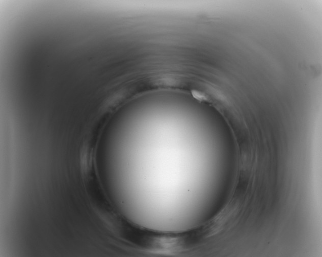 X0000089850168200707051122