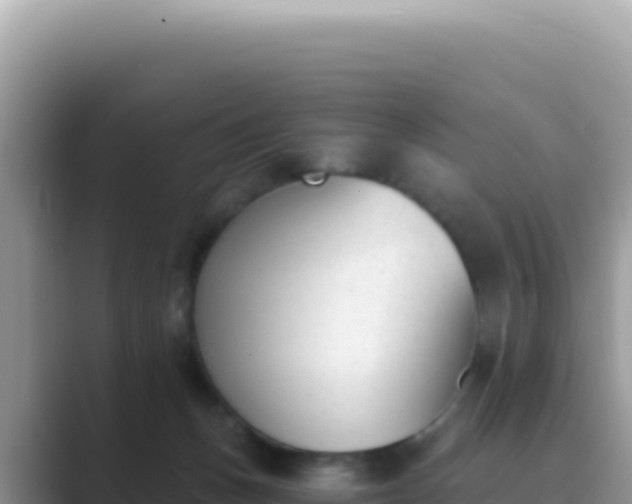 X0000089850175200707051122
