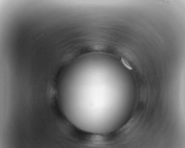 X0000089850176200707051122