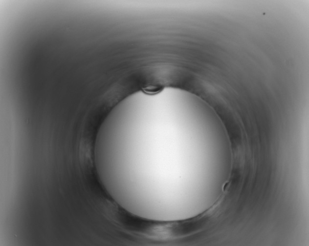 X0000089850178200707051122