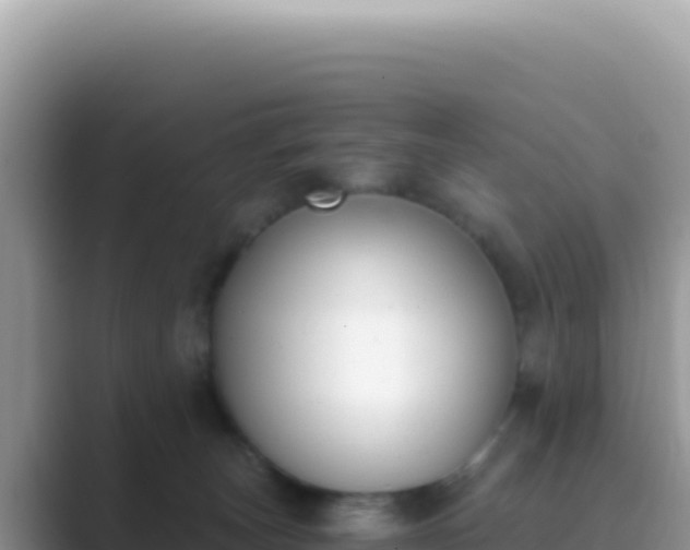 X0000089850179200707051122