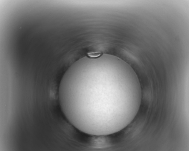 X0000089850181200707051122