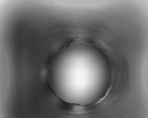 X0000089850192200707051122