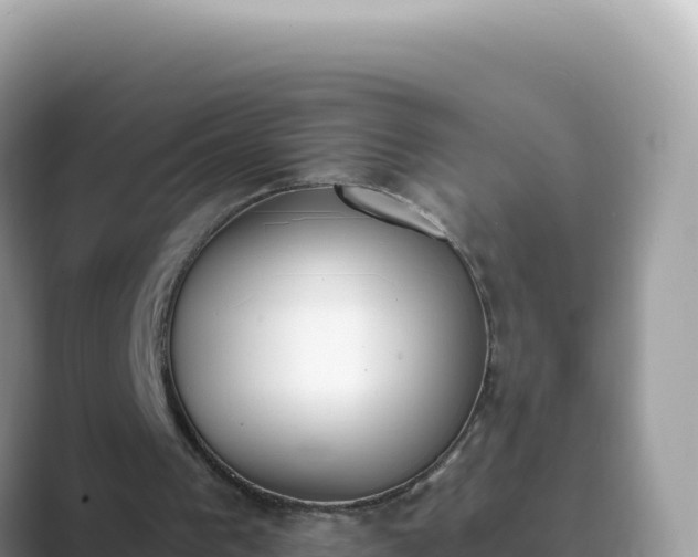X0000089850193200707051121