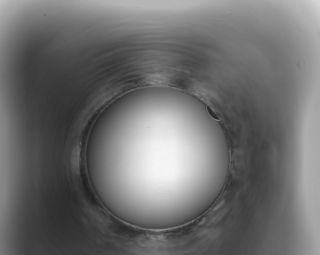 X0000089850194200707051121