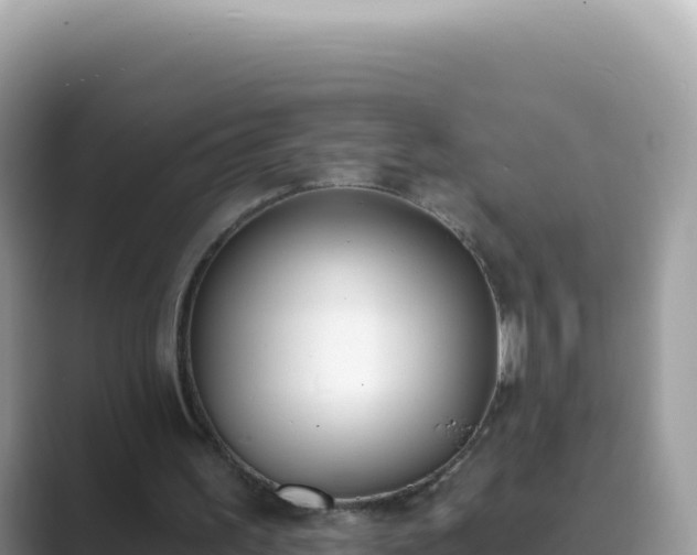X0000089850195200707051121