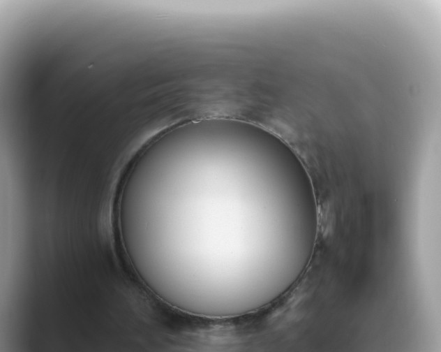 X0000089850196200707051121