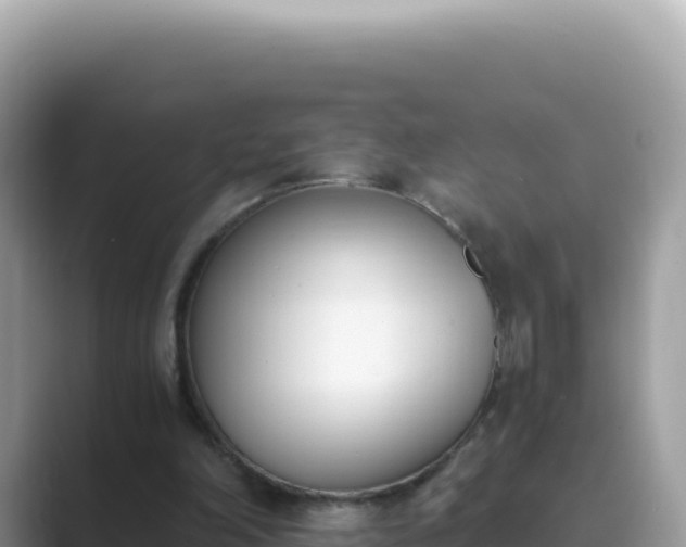 X0000089850198200707051121