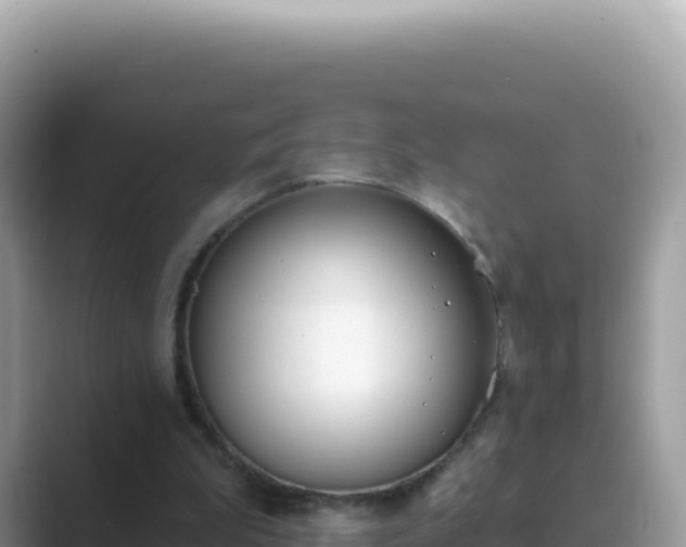 X0000089850199200707051121