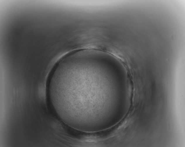 X0000089850200200707051121