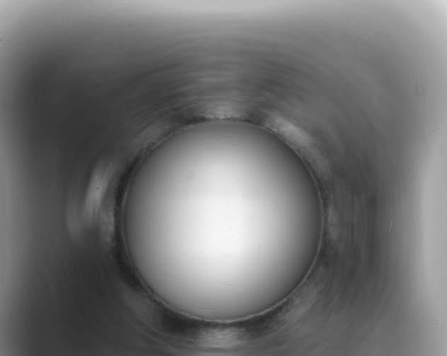X0000089850202200707051121