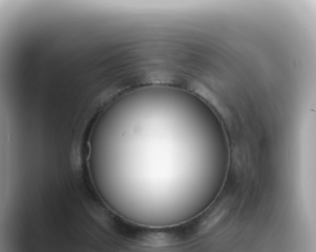 X0000089850203200707051121