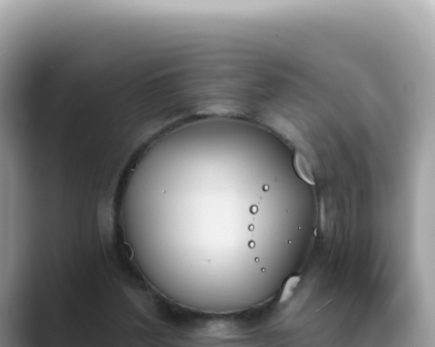 X0000089850204200707051121