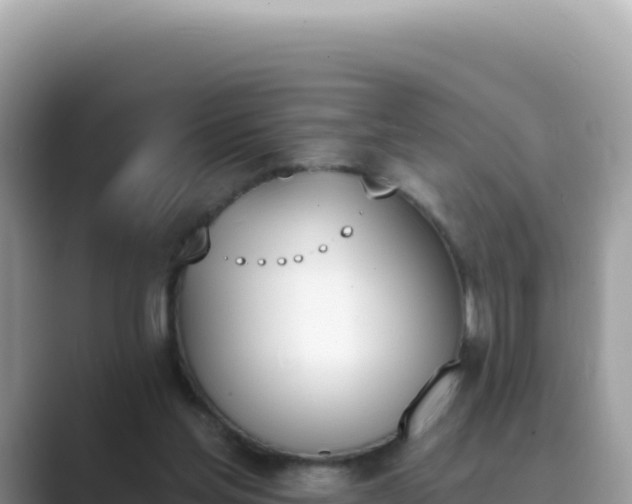 X0000089850205200707051121