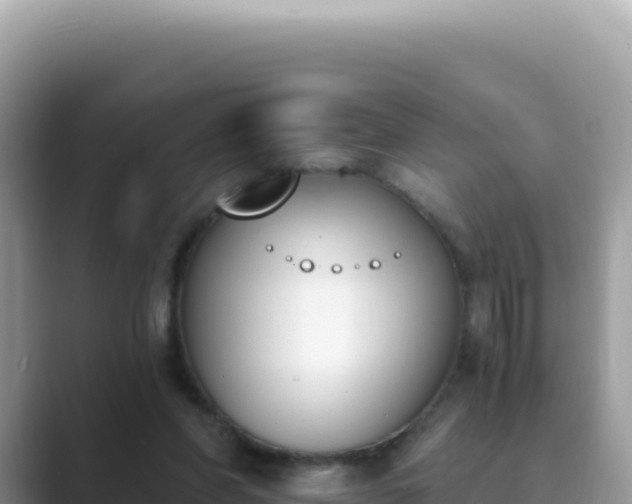 X0000089850206200707051121