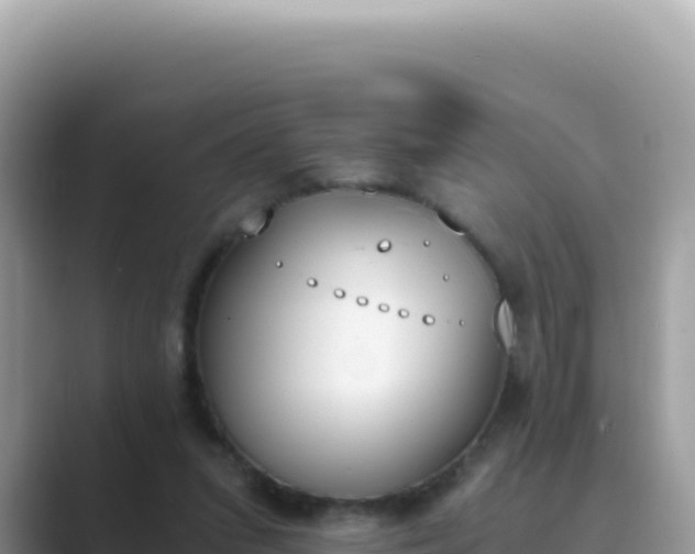 X0000089850207200707051121