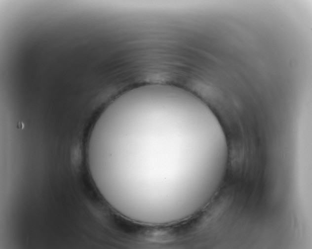 X0000089850208200707051121