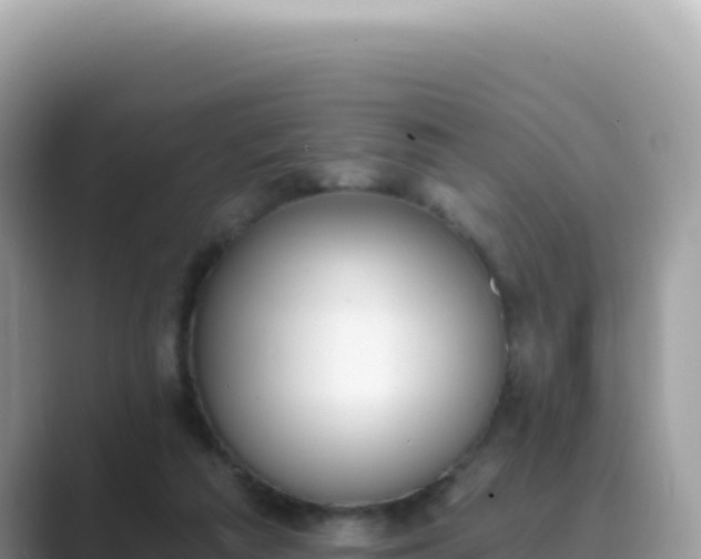 X0000089850209200707051121