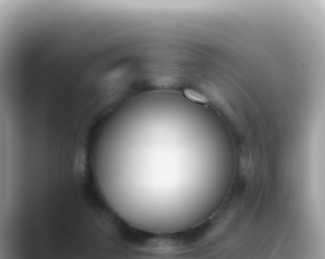 X0000089850211200707051121