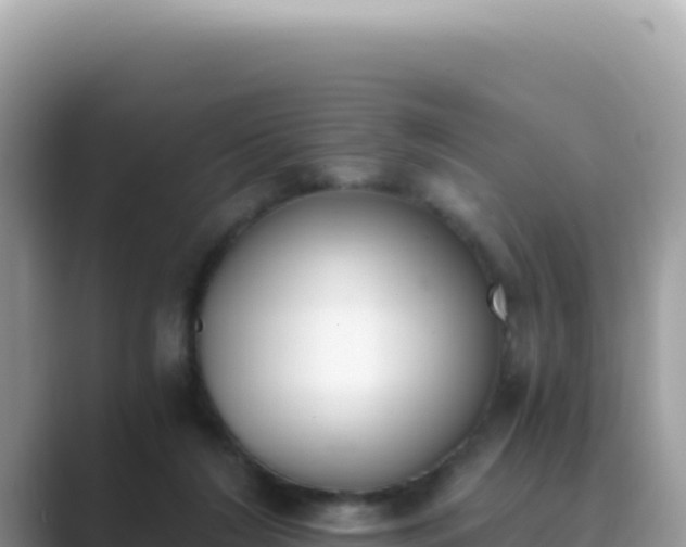 X0000089850212200707051121