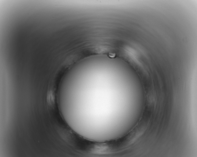 X0000089850214200707051121