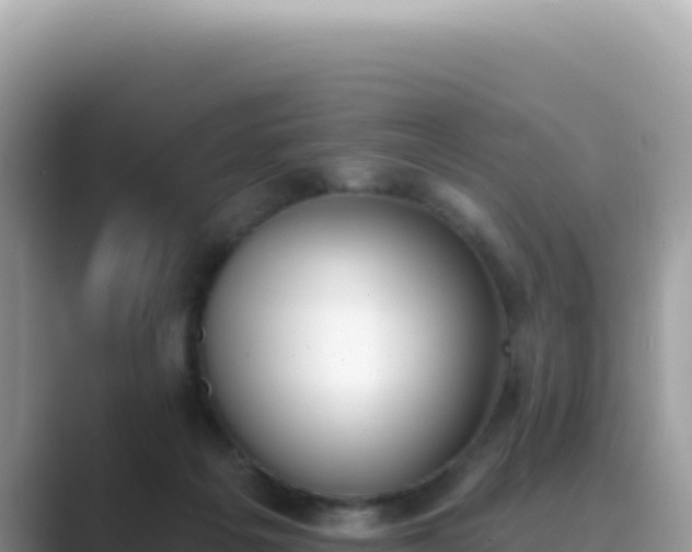 X0000089850217200707051121